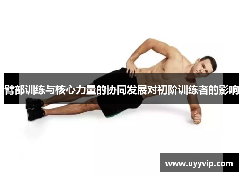 臂部训练与核心力量的协同发展对初阶训练者的影响